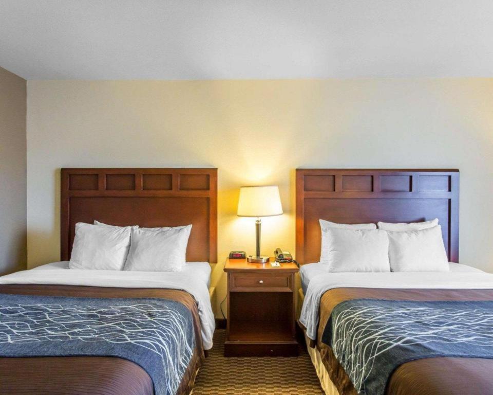 Hotel Comfort & 2*