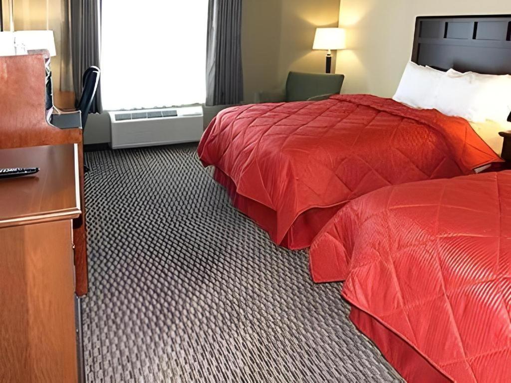 Hotel Comfort & 2*