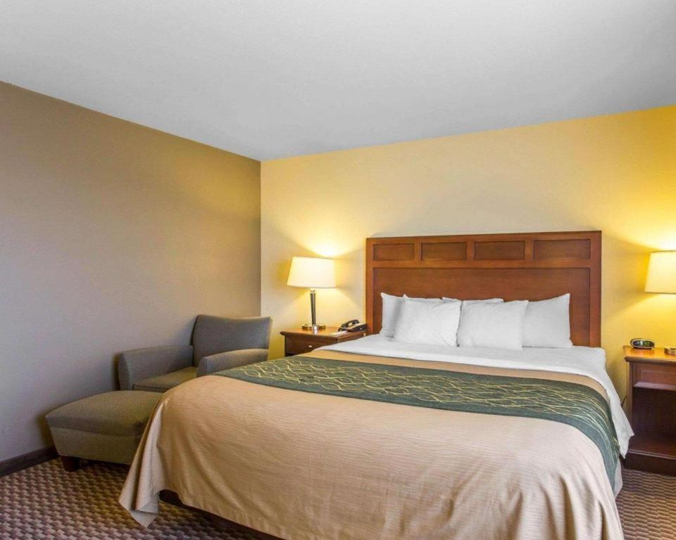 Comfort & Hotel