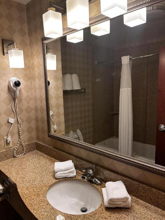 Comfort & Hotel