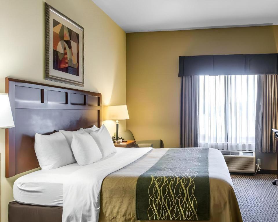 Hotel Comfort &