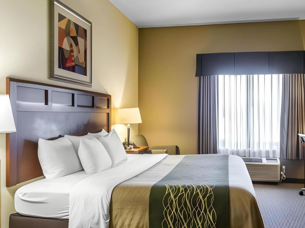 Comfort & 2* Madisonville